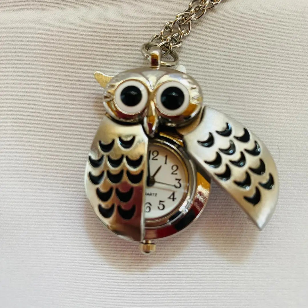 Dutch souvenirs: owls? Watch