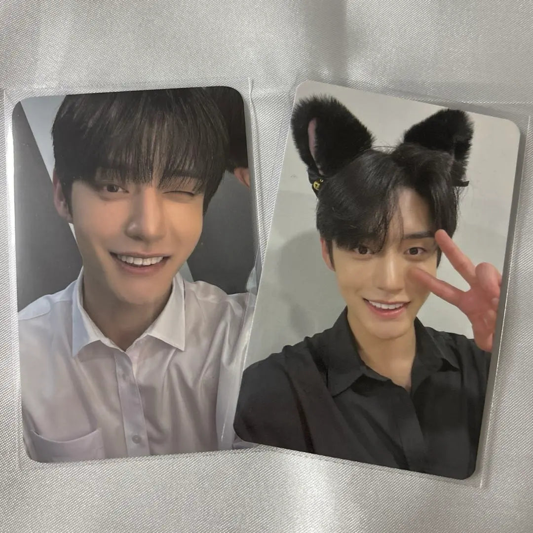 ZB1 Jiwun Boypla Final Cat Ear Trading Card Set