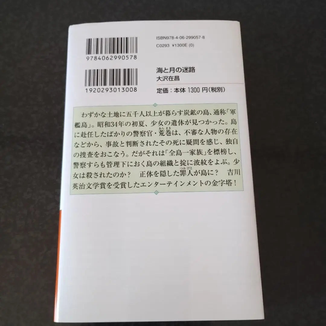 "The Maze of the Sea and the Moon" Osawa Zaisha | 「海と月の迷路」 大沢 在昌