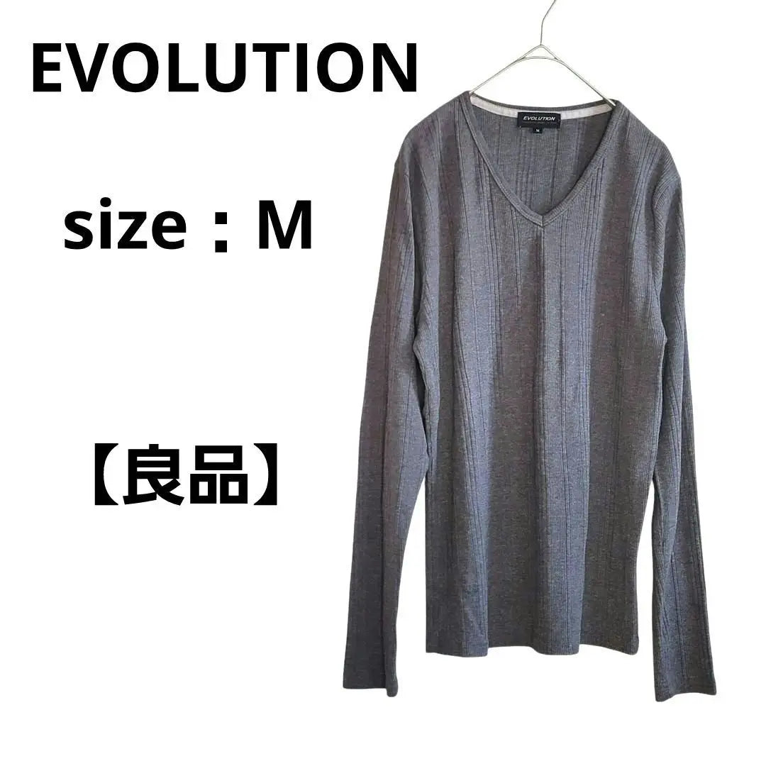 [Good product] EVOLUTION long sleeve cut and sew women's gray M V neck