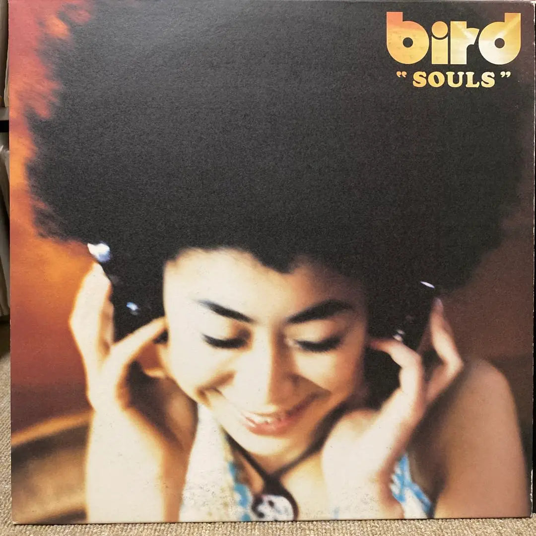 bird SOULS analog record