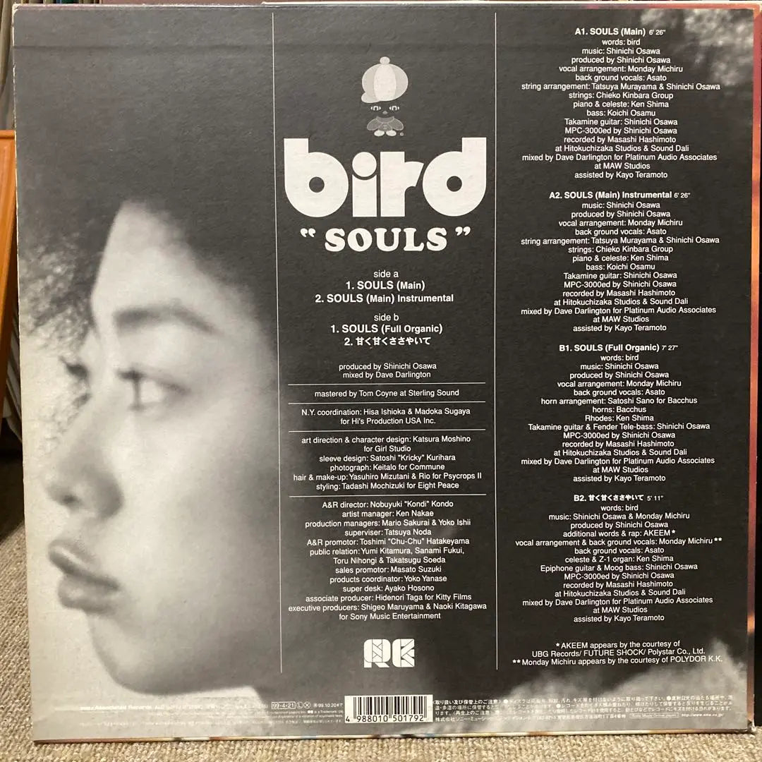 bird SOULS analog record