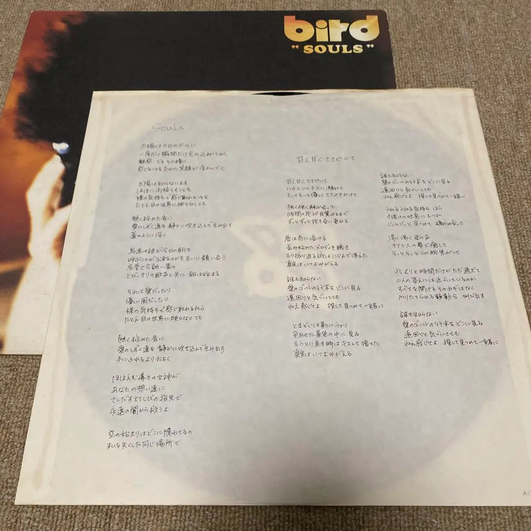 bird SOULS analog record