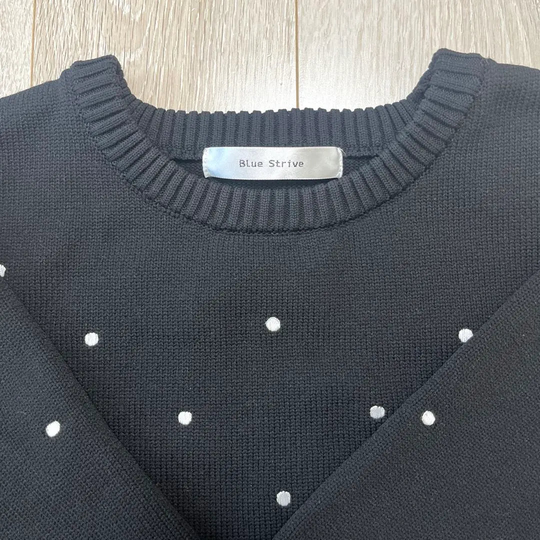 Shimamura Flash Blue Flash Blue Dot Embroidery Knit Black Polka Dad | しまむらFLASH BLUE フラッシュブルー　ドット刺繍ニット　黒　水玉