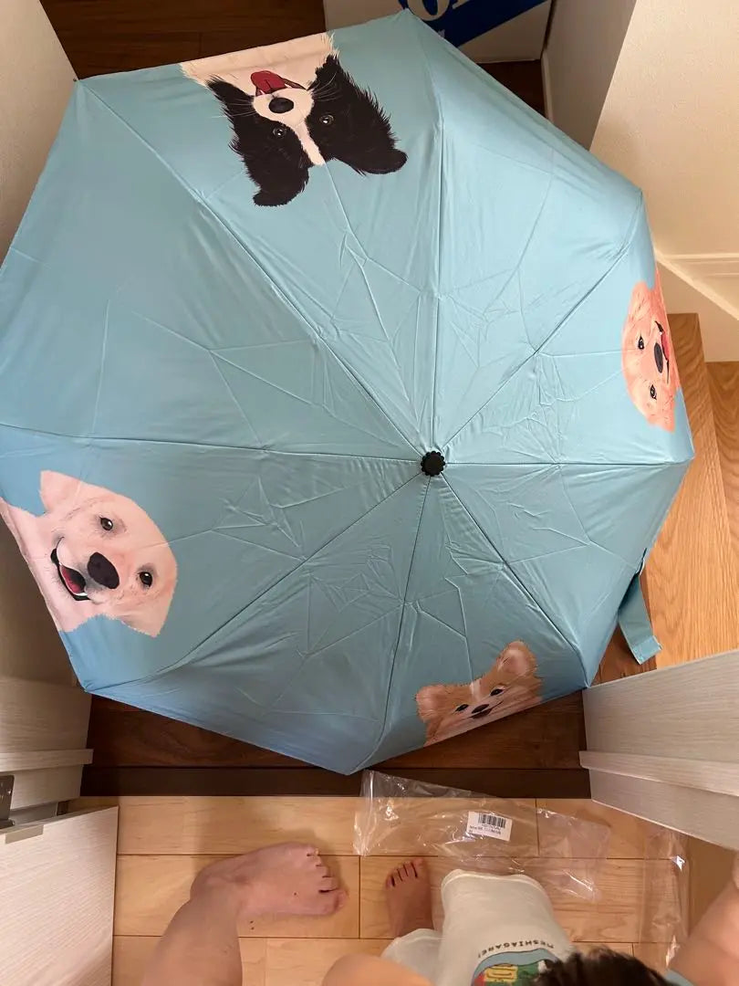 ✨1 item left✨Dog folding umbrella, one-touch type, cute, can also be used as a parasol?