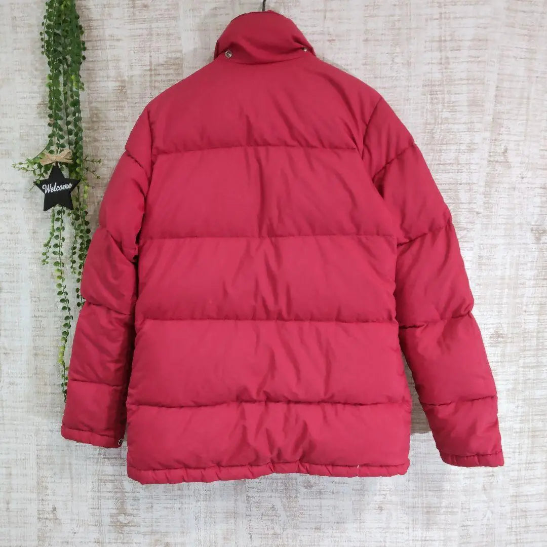 [THE NORTH FACE] North Face Down S Goose Down Luxury