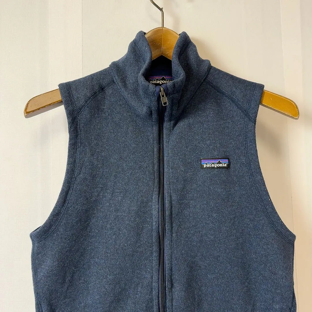 Patagonia Better Sweater Vest Chaleco polar azul y morado Talla M Ropa usada para mujer