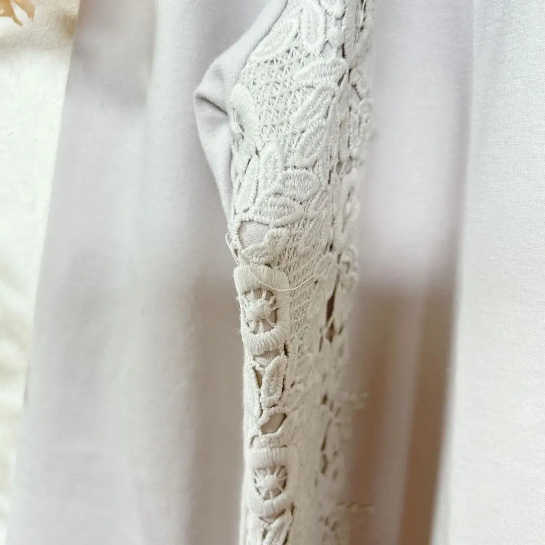 [c1881] Prosumer Women's Tunic Lace Long Sleeve | 【c1881】Prosumer レディース　チュニック　レース　長袖