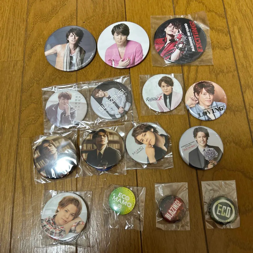 [Not sold individually] Miyano Mamoru can badge set