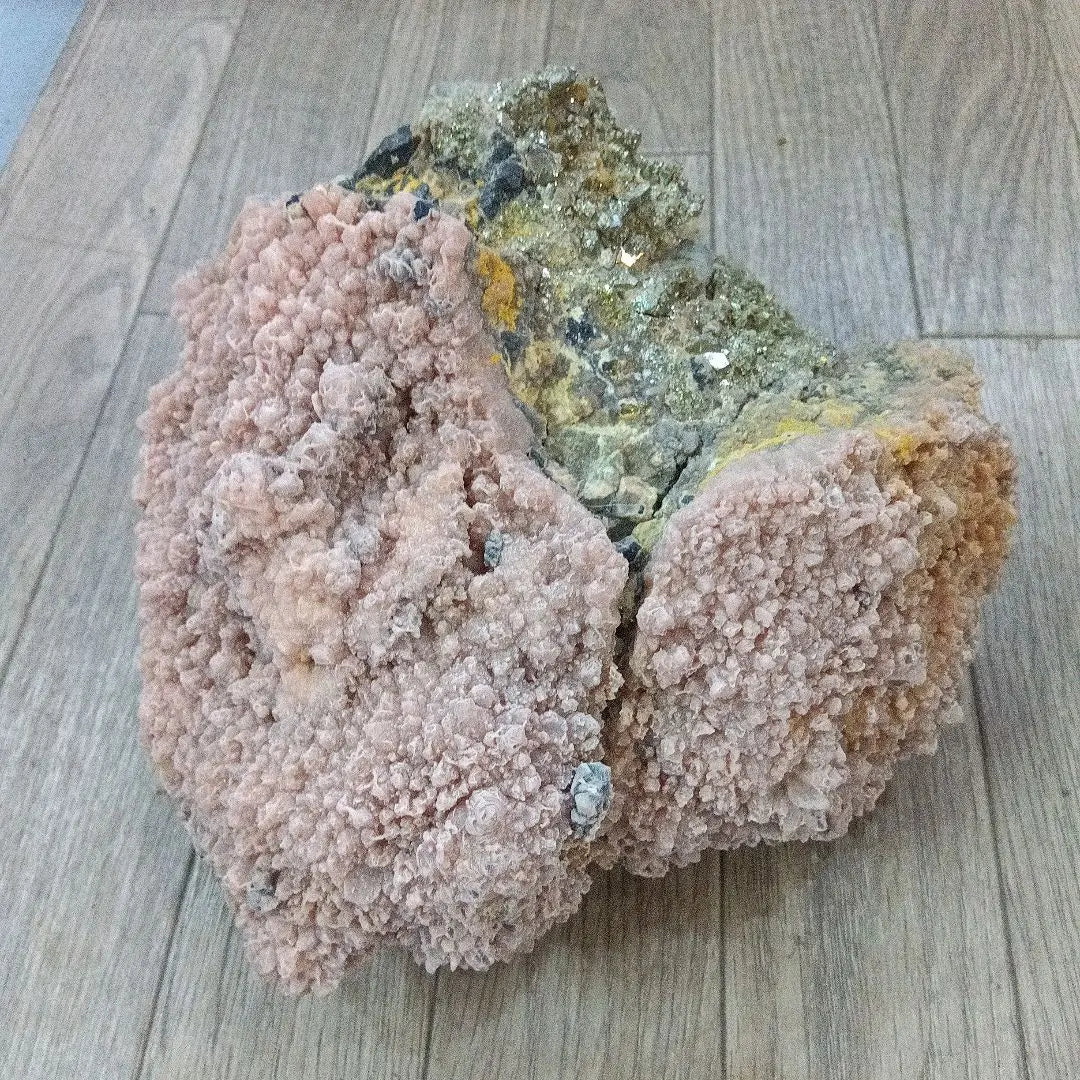 5 ostras de Hishimanganese (grandes), mina de Ota, prefectura de Aomori, ejemplar mineral de color rosa pálido, Japón