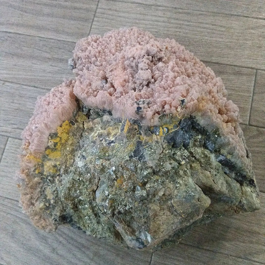 5 ostras de Hishimanganese (grandes), mina de Ota, prefectura de Aomori, ejemplar mineral de color rosa pálido, Japón