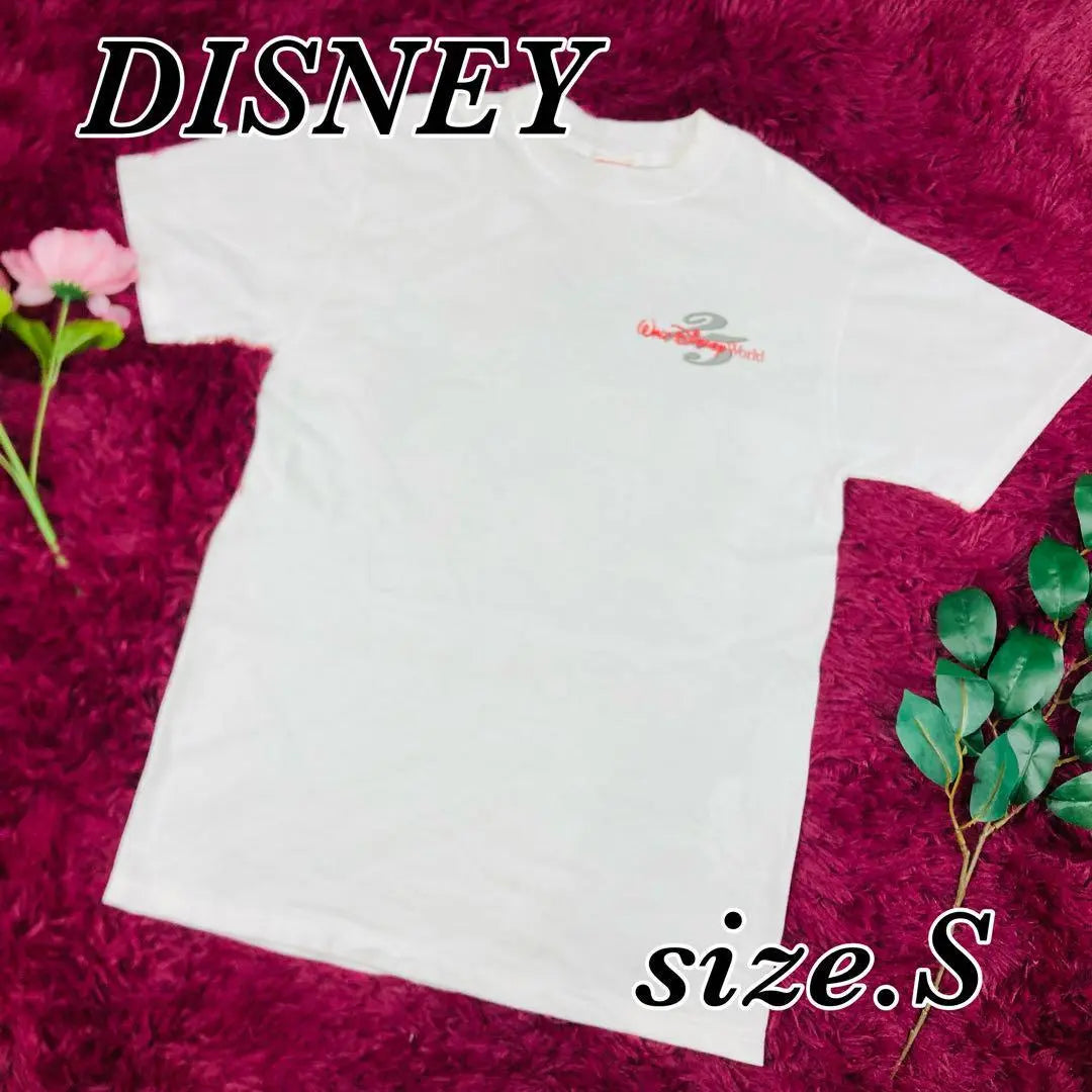 DISNEY T-shirt Short sleeve S size | DISNEY　ディズニー　Tシャツ　半袖　Sサイズ