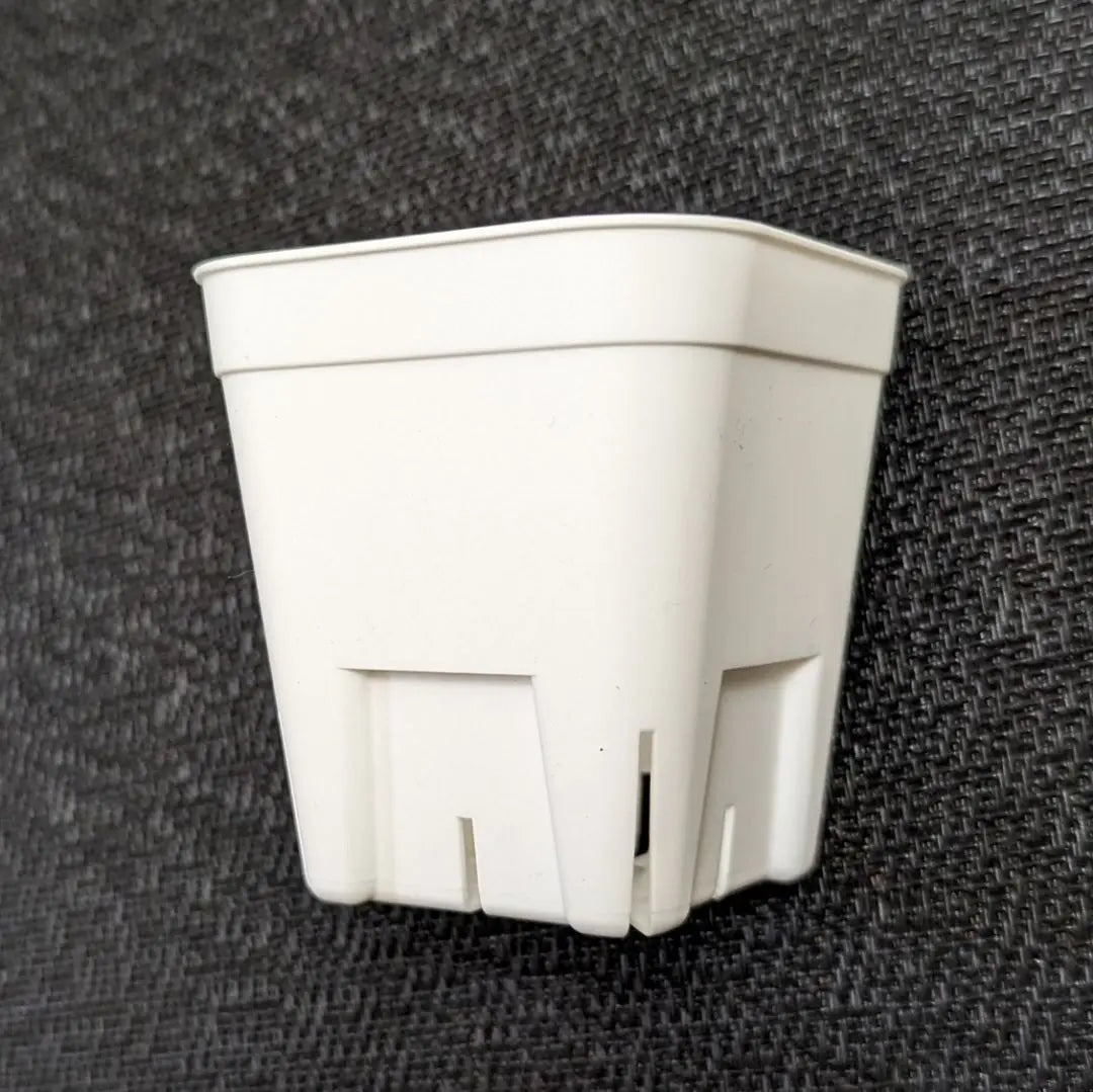 [Slit bowl] Prestera White White 75 & 90 & 105 105 perconplant plastic pot each | 【スリット鉢】プレステラ白 75＆90＆105 各10個 多肉植物 プラ鉢