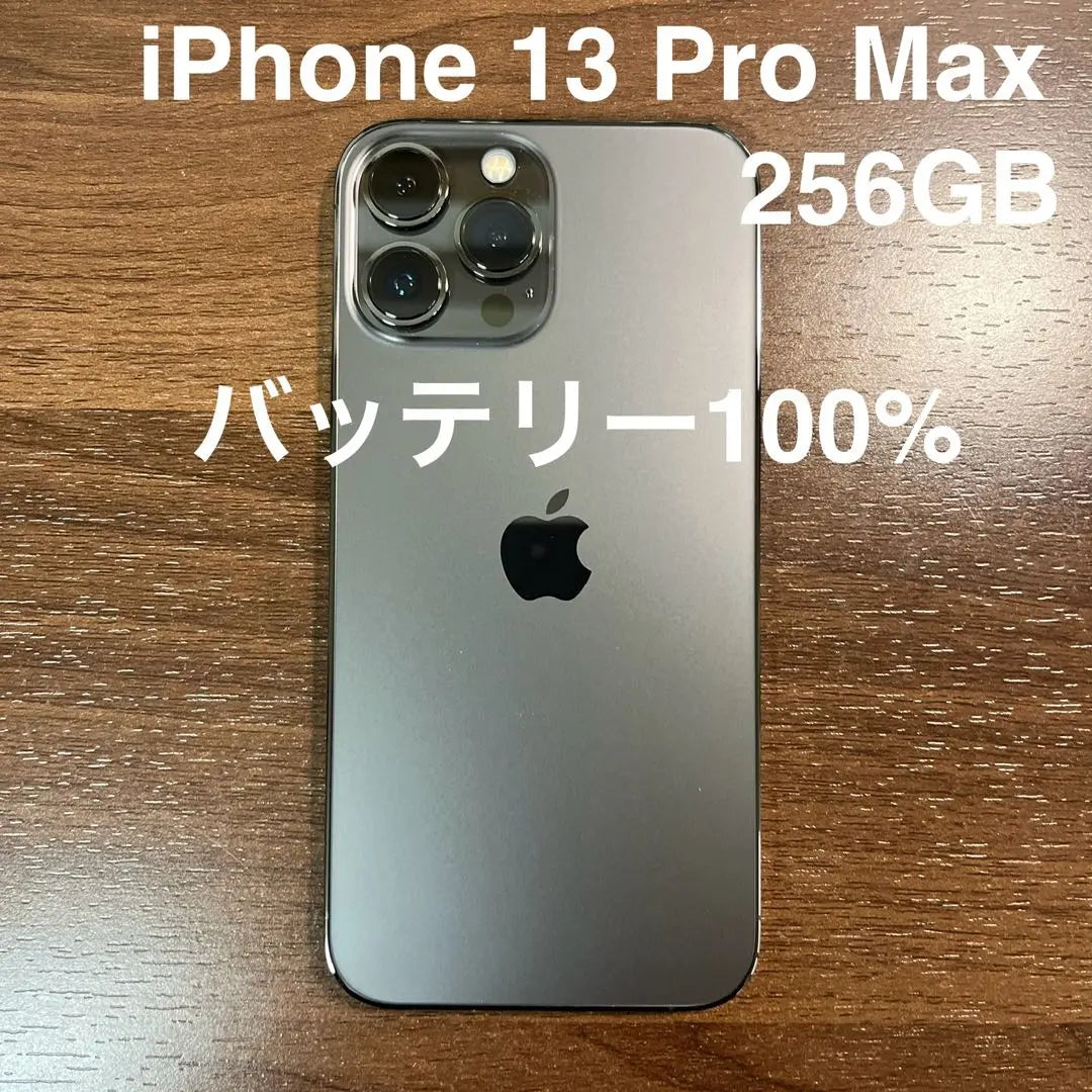 Apple Refurbished Product iPhone13 Pro Max 256GB Graphite