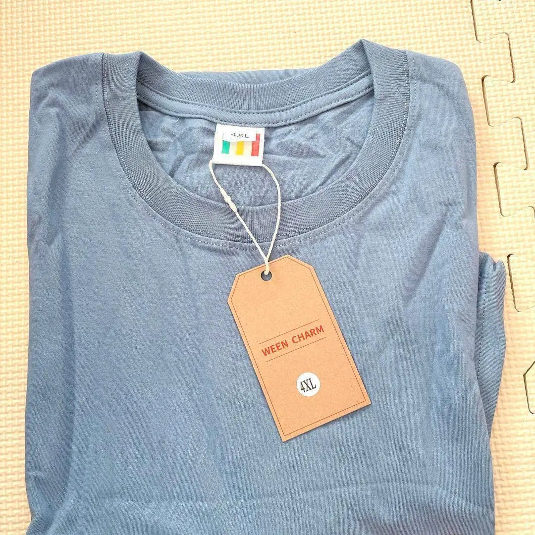 Special price✨Unused⭐️XL Men's Big Silhouette T-shirt Dull Color Short Sleeve