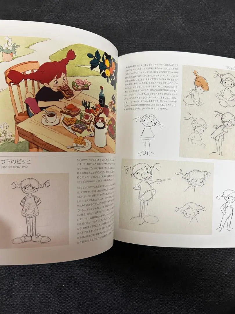 ¡Valioso! Libro firmado Yoichi Kotabe Animation Art Book Heidi, Girl of the Alps Isao Takahata