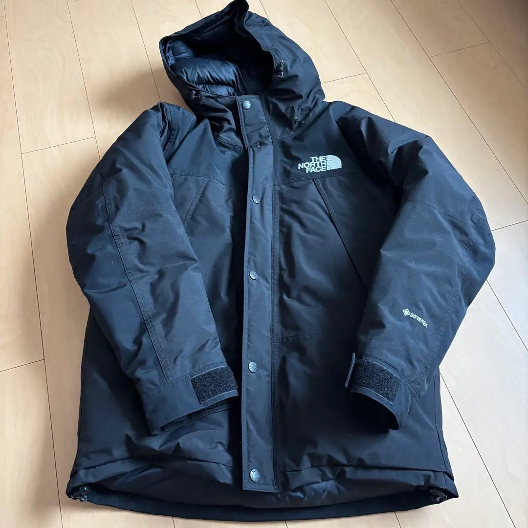 THE NORTH FACE Mountain Down Jacket Gore-Tex