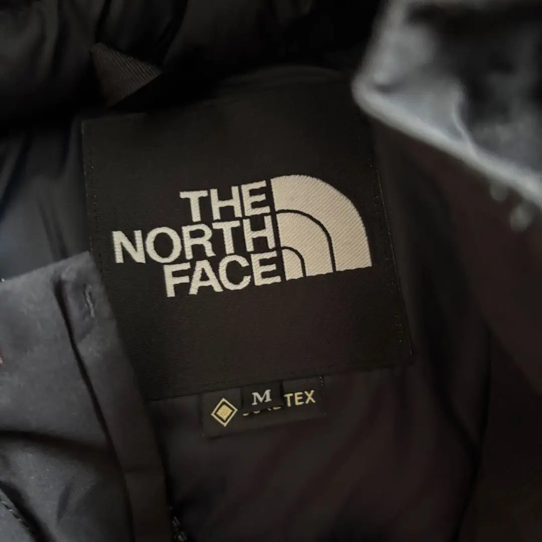 THE NORTH FACE Mountain Down Jacket Gore-Tex