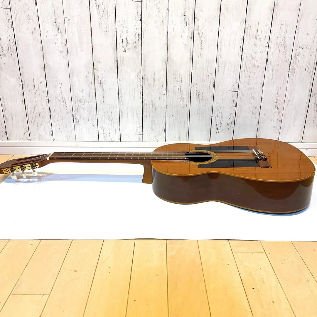 [Rare] RAIMUND MOD118 Classical Guitar Flamenco Guitar 118