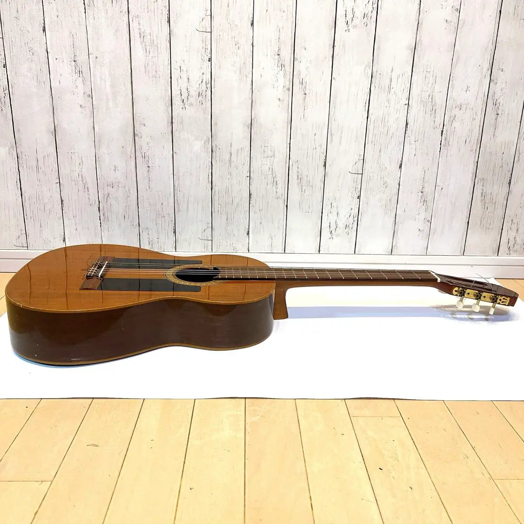 [Rare] RAIMUND MOD118 Classical Guitar Flamenco Guitar 118