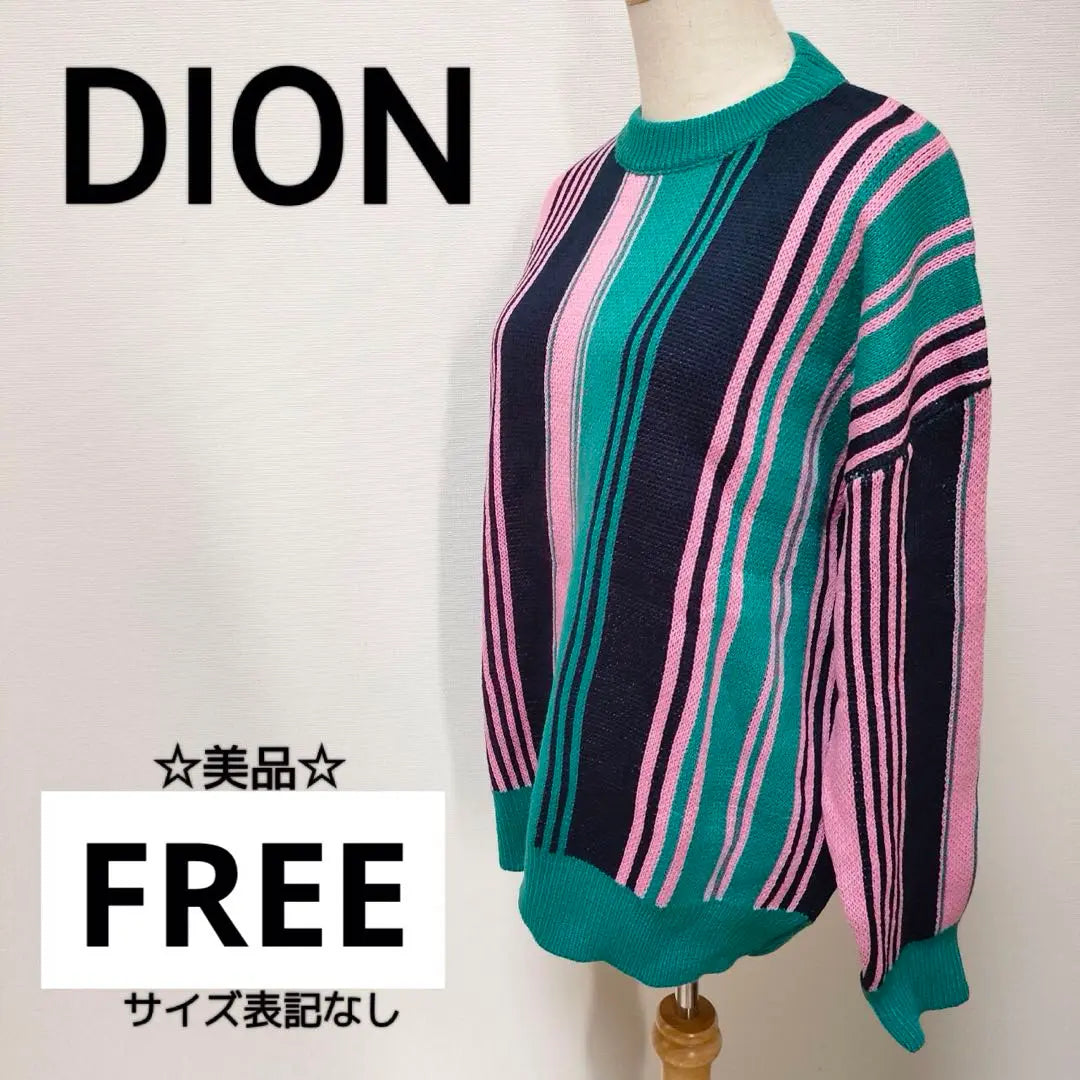 ⭐︎Good condition [DION] Multi-color striped knit FREE Korea 1455