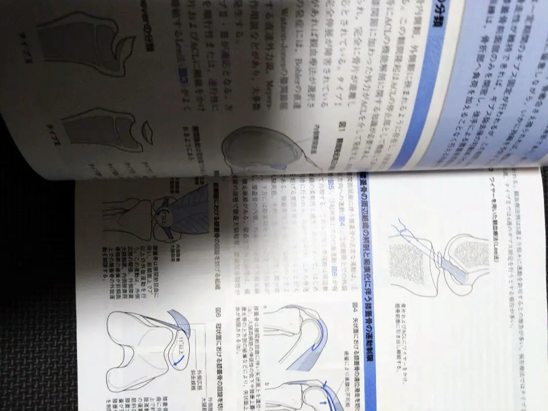 Orthopedic Exercise Therapy Navigation - Based on joint functional anatomy, lower limb trunk, physical therapy, PT