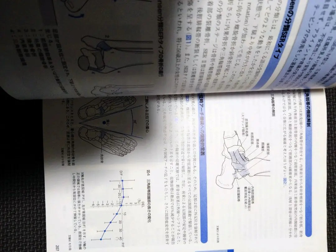 Orthopedic Exercise Therapy Navigation - Based on joint functional anatomy, lower limb trunk, physical therapy, PT