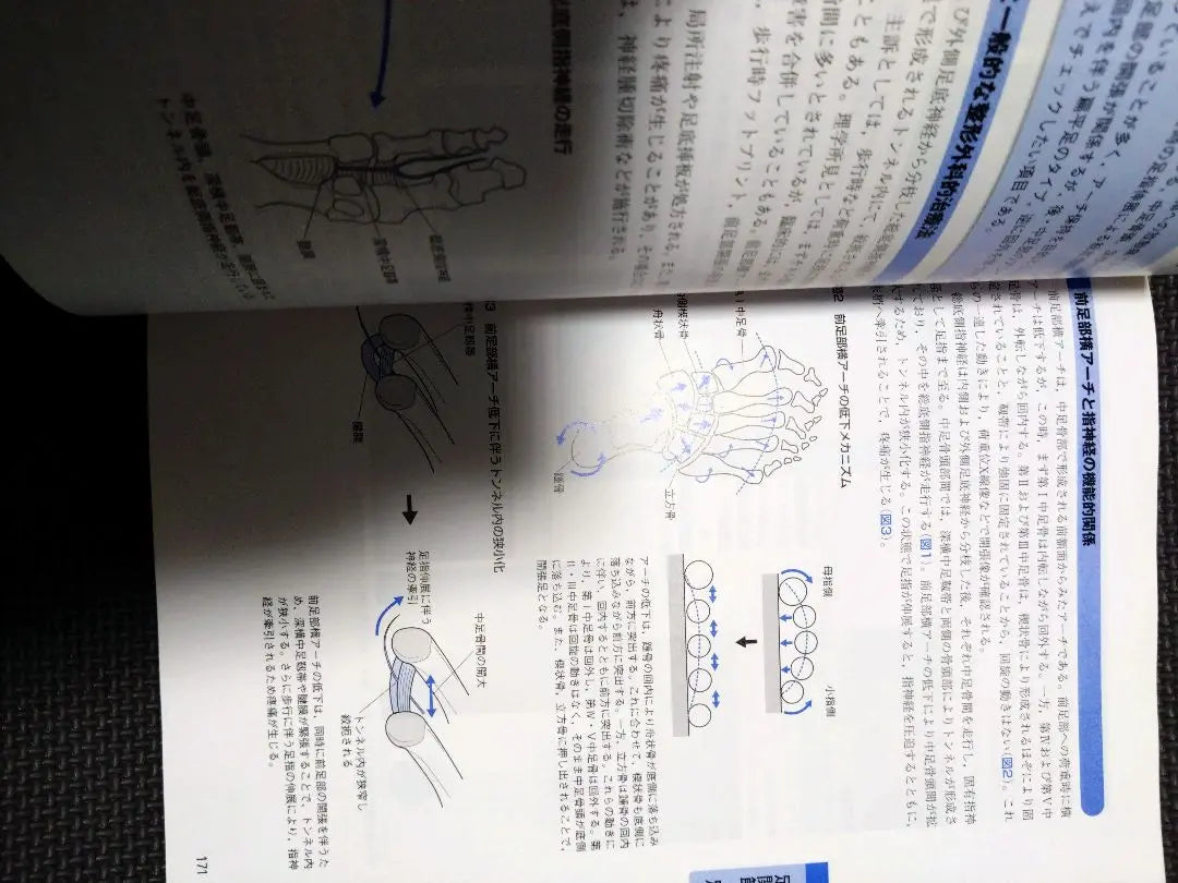 Orthopedic Exercise Therapy Navigation - Based on joint functional anatomy, lower limb trunk, physical therapy, PT