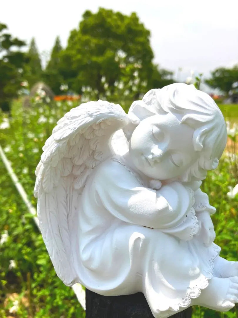 Object, Angel, Ornament, Angel, New, Interior, Accessories, Healing, Statues, Popular, Korea