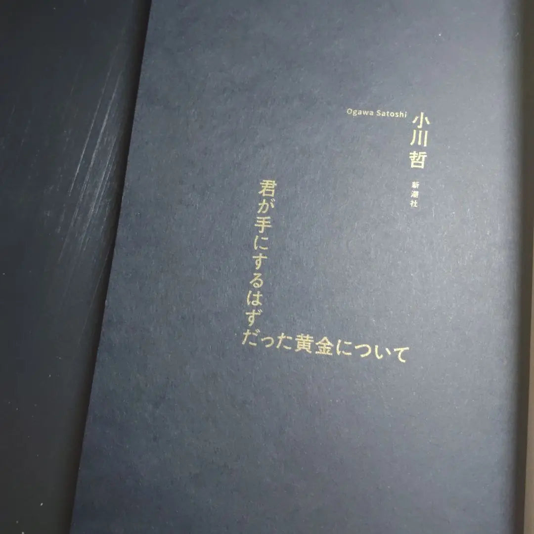 Novel "About the Gold You Should Have" by Ogawa Tetsu