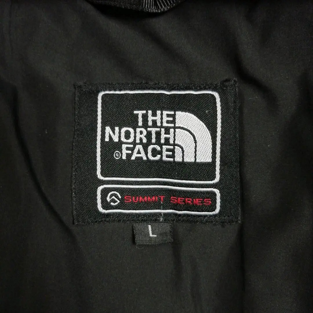 [Super Rare] North Face Down Jacket Himalayan 800 Embroidered Logo Old Clothes