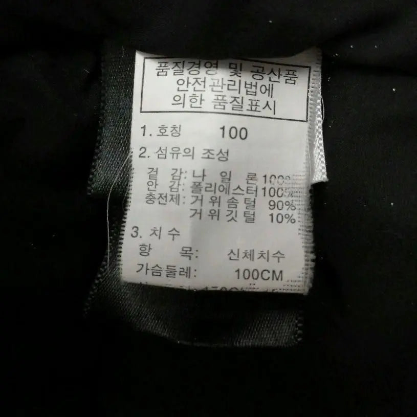 [Super Rare] North Face Down Jacket Himalayan 800 Embroidered Logo Old Clothes