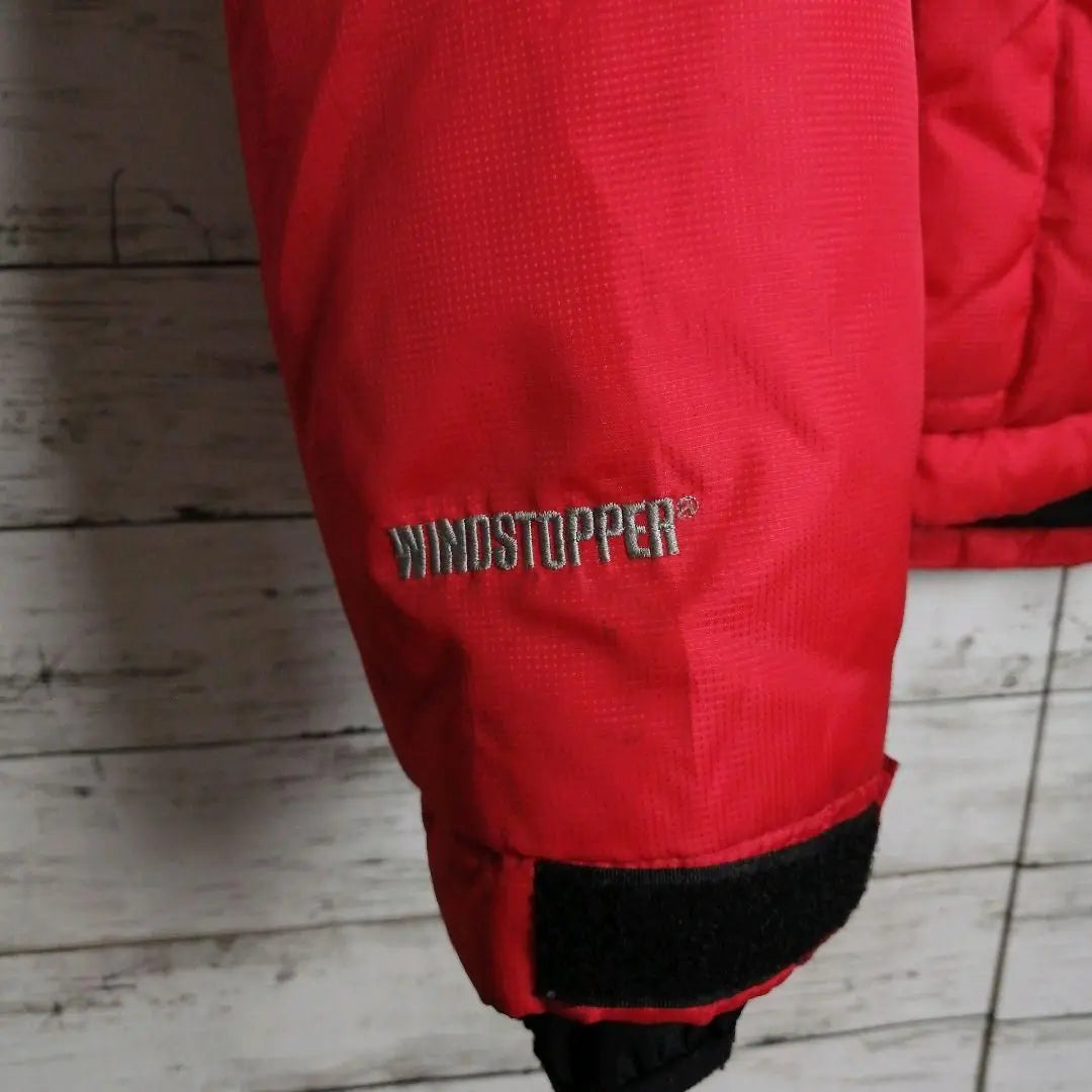 [Super Rare] North Face Down Jacket Himalayan 800 Embroidered Logo Old Clothes