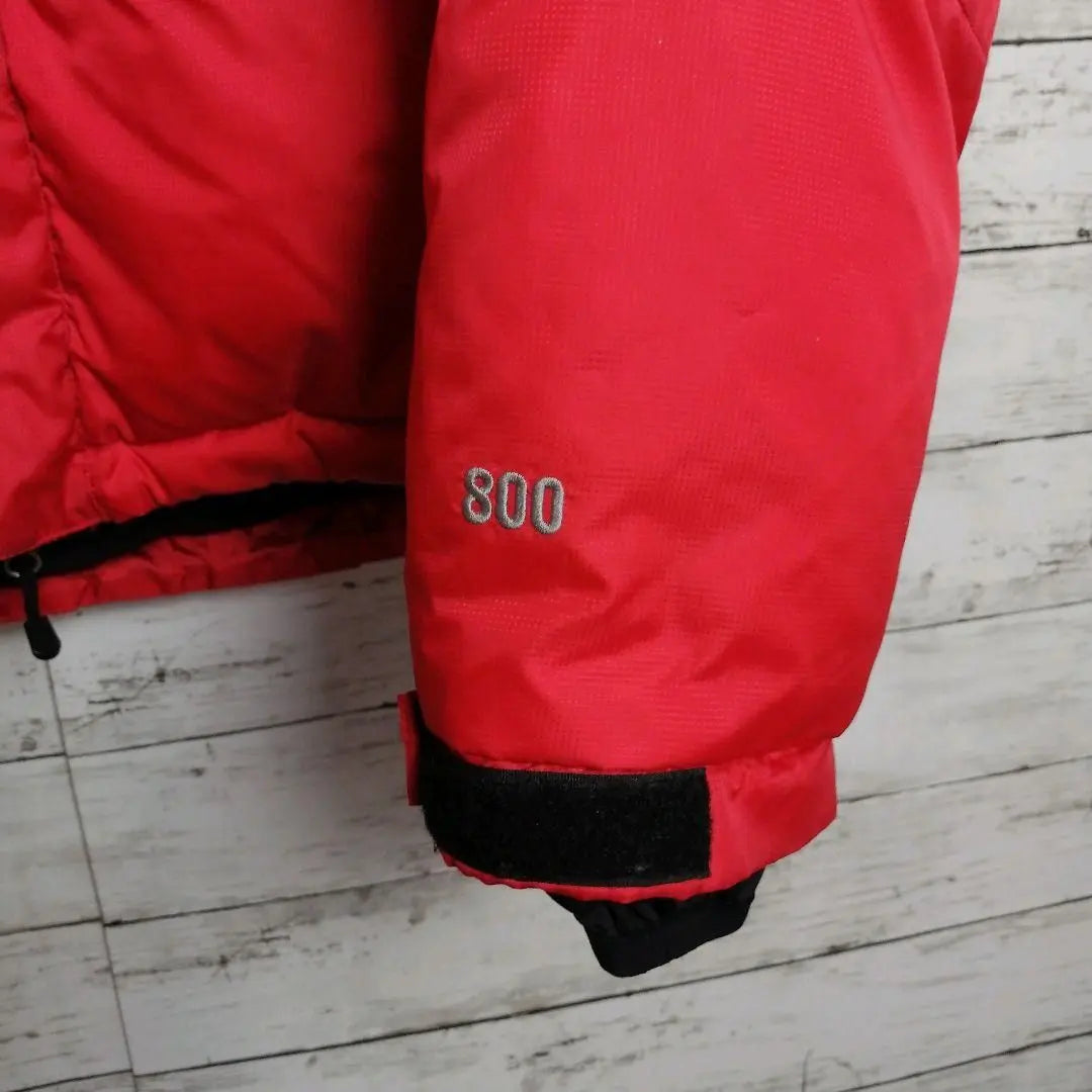 [Super Rare] North Face Down Jacket Himalayan 800 Embroidered Logo Old Clothes