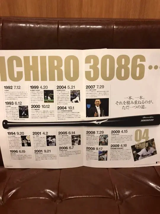 Folleto de Mizuno Ichiro Matsui Hideki