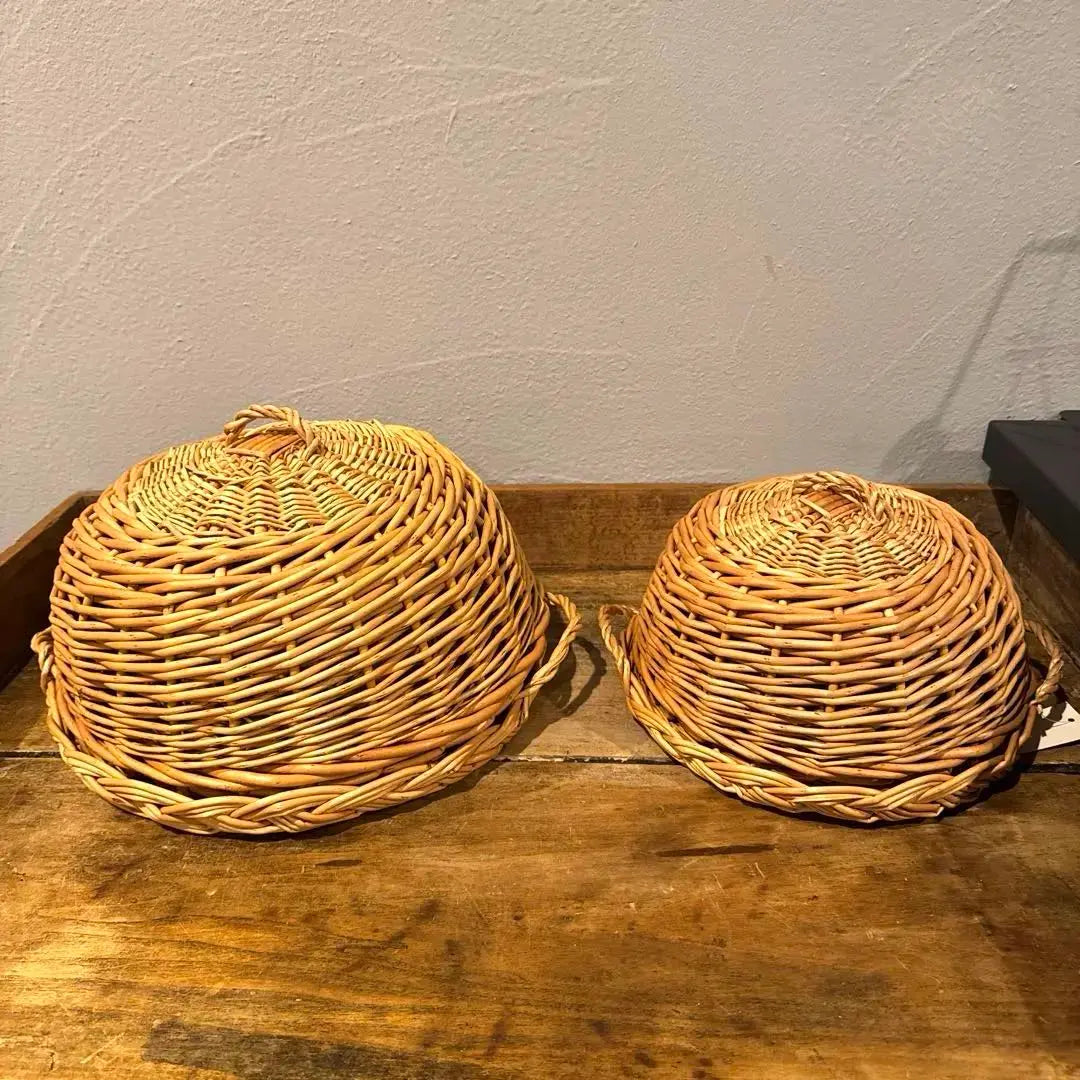 [Unused] Posh Living Room Rattan Case with Lid Set of 2