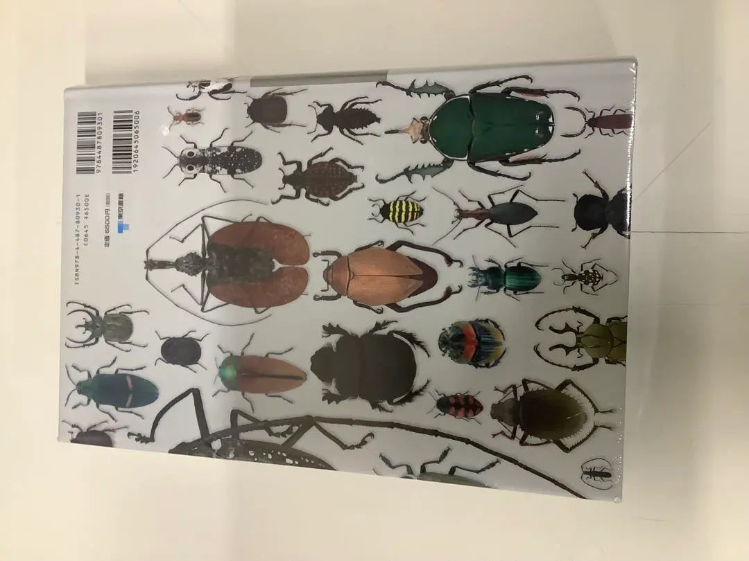 World Beetle Big Blog THE BOOK OF BEETLES