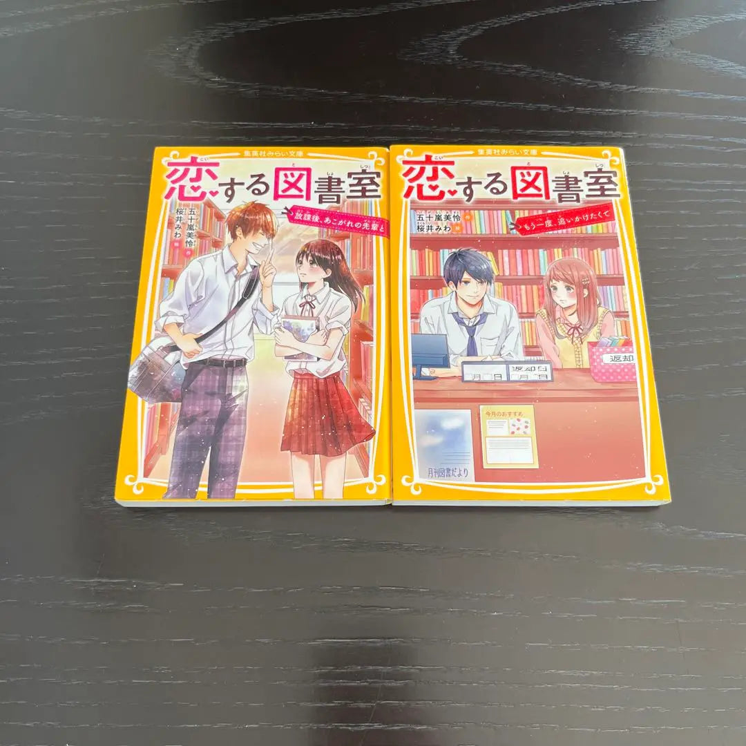 Set of 4 novels (19 volumes) for elementary and junior high school students