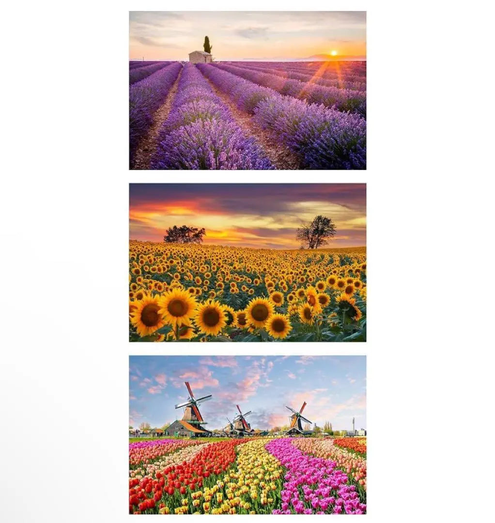 Jigsaw puzzle micropiece 150 pieces puzzle postcard postcard flower