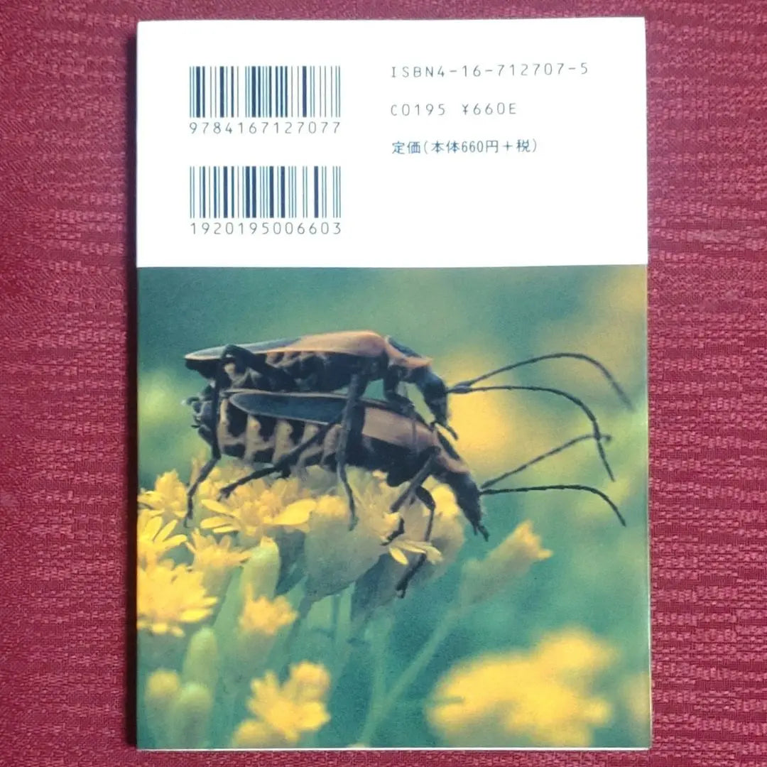 [Producto muy popular/Volumen 1 y 2] ¡Más lejos! Atravesando los continentes de América del Norte y del Sur/Edición de América del Norte Ken Kaiko