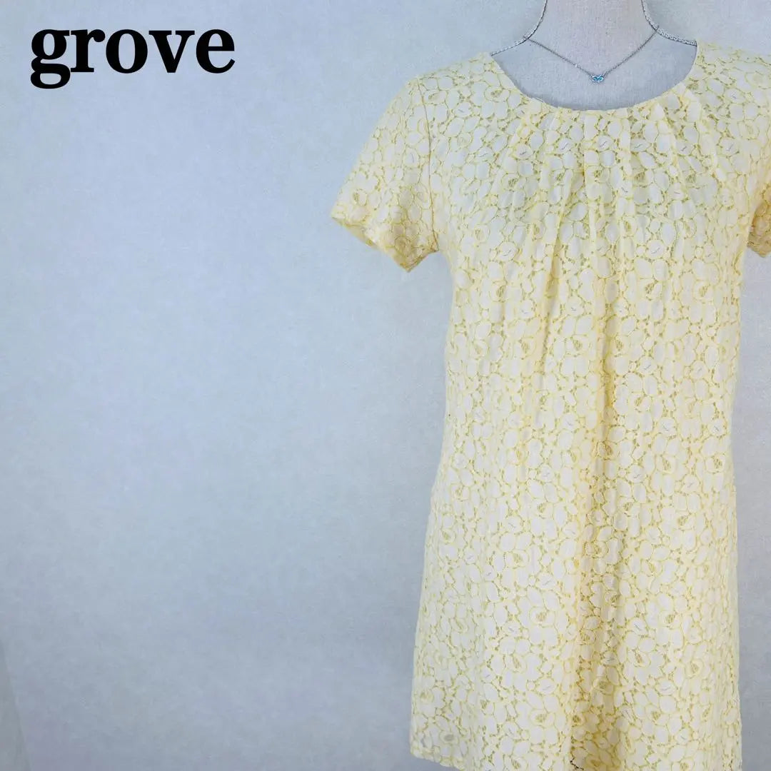 grove neck tuck lace design mini dress