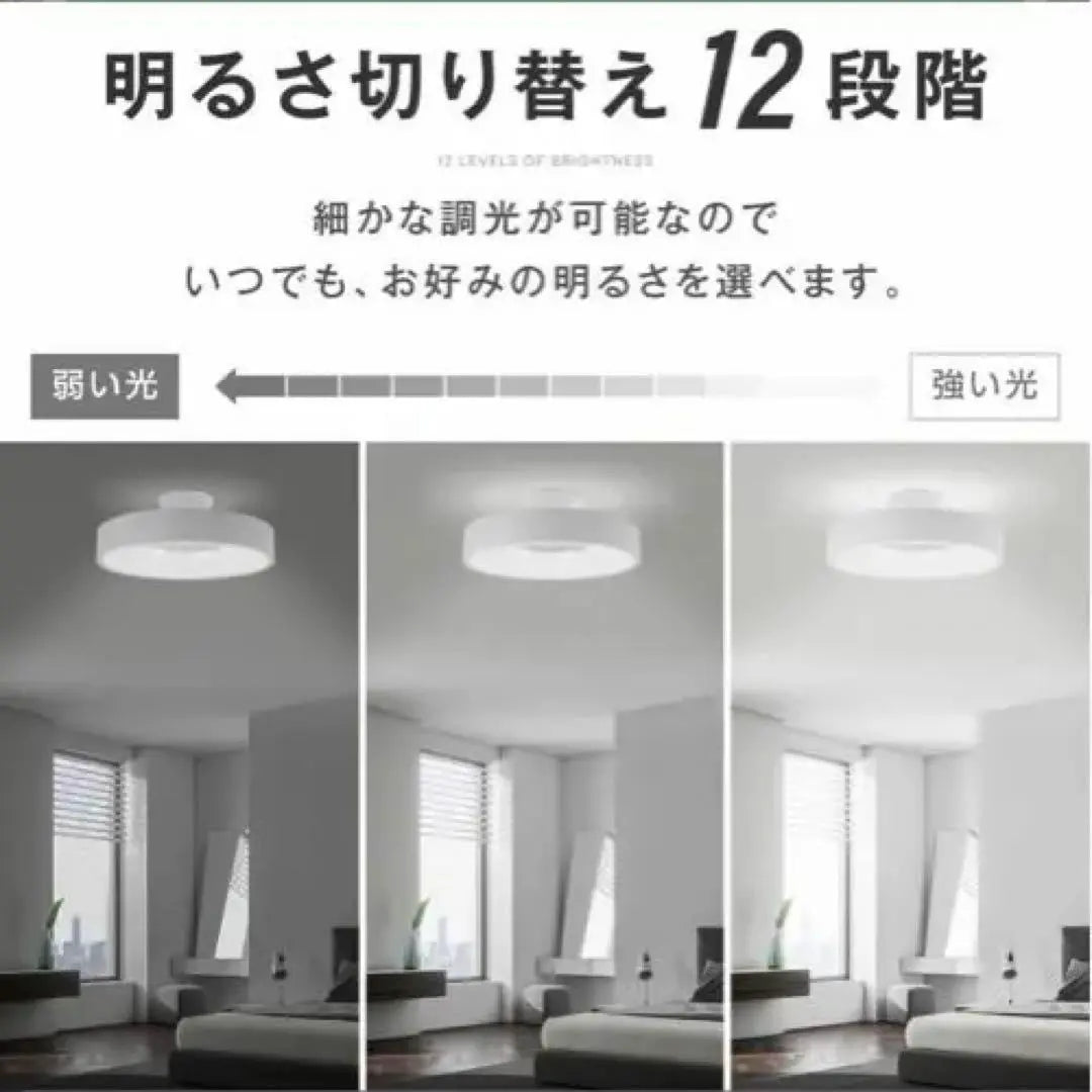 [SNS hot topic] Ceiling light LED stylish lighting electric 8 tatami mats