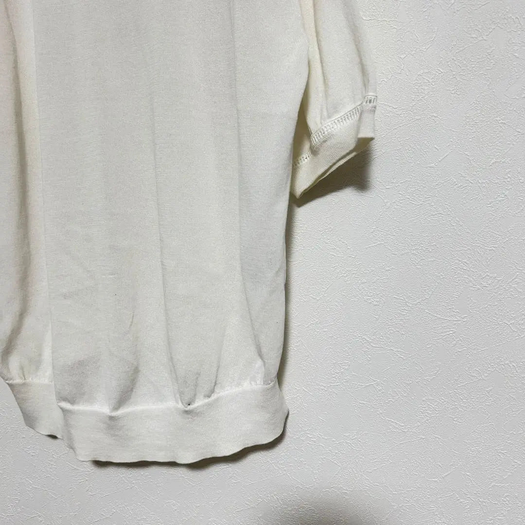 Page V-neck short sleeve knit, white, size L, thin, transparent, cotton