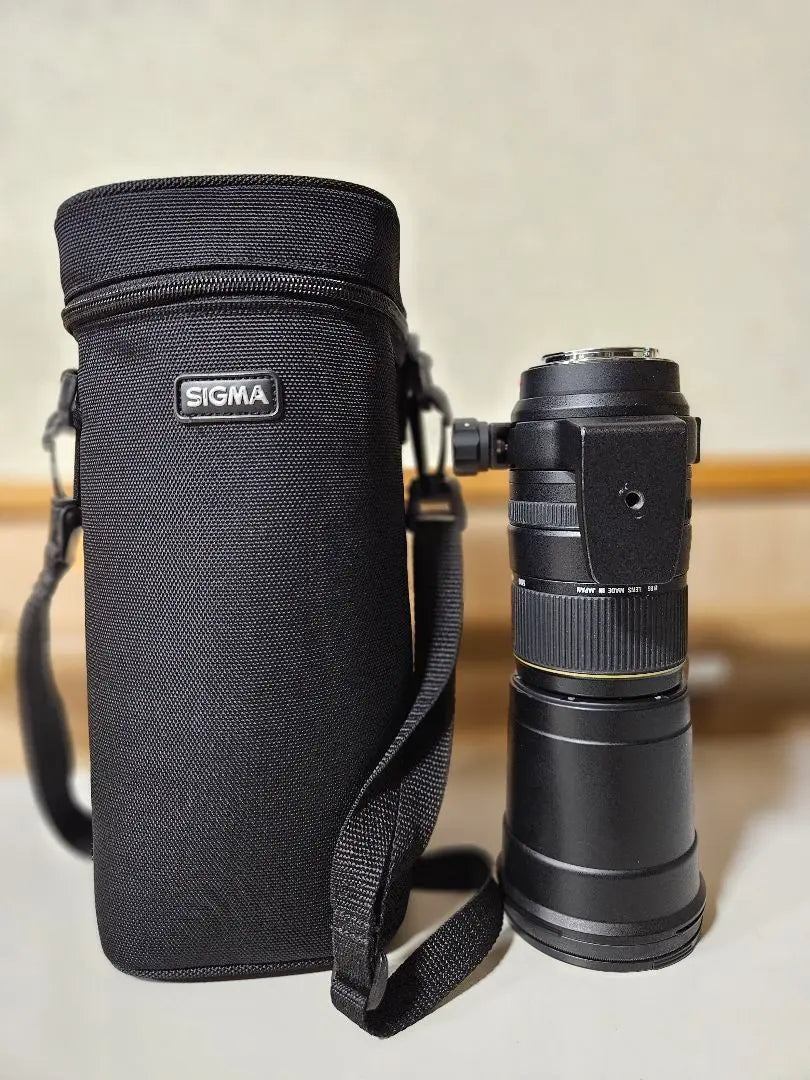 SIGMA 170-500mm F5-6.3 APO DG SONY Minolta | SIGMA 170-500mm F5-6.3 APO DG SONY　ミノルタ