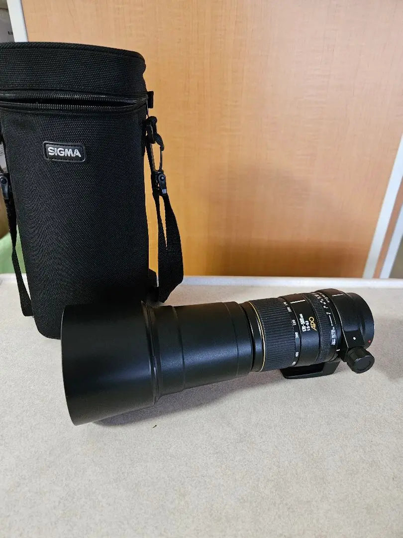 SIGMA 170-500mm F5-6.3 APO DG SONY Minolta | SIGMA 170-500mm F5-6.3 APO DG SONY　ミノルタ