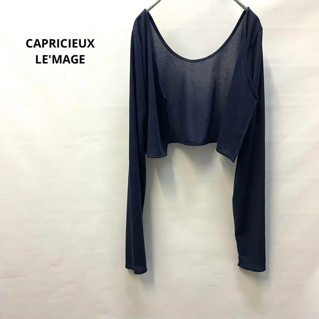 Caprice Lameage Navy Long Sleeve Tops Thin Buttoned Women's 247 | カプリシュレマージュネイビー 長袖トップス 薄手　ボタン付き　レディース　247