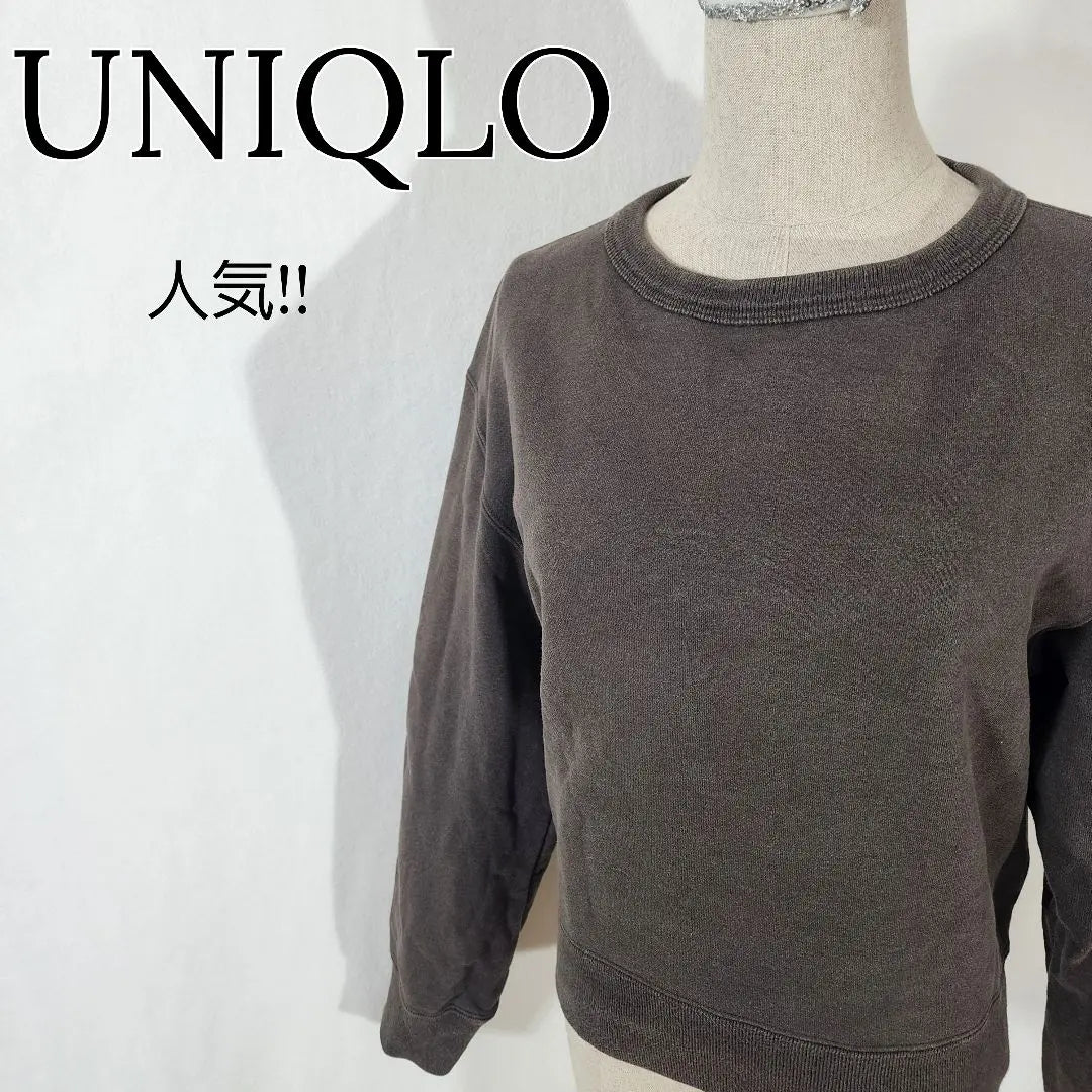 [¡Popular!] Suéter deportivo de cuello redondo de Uniqlo casual