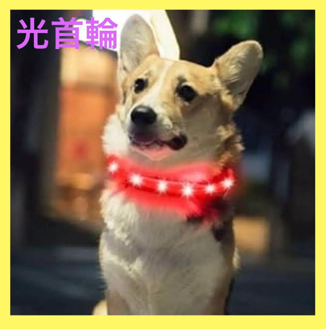 Junk shining collar dog USB rechargeable 3 light emission mode size adjustable LED red