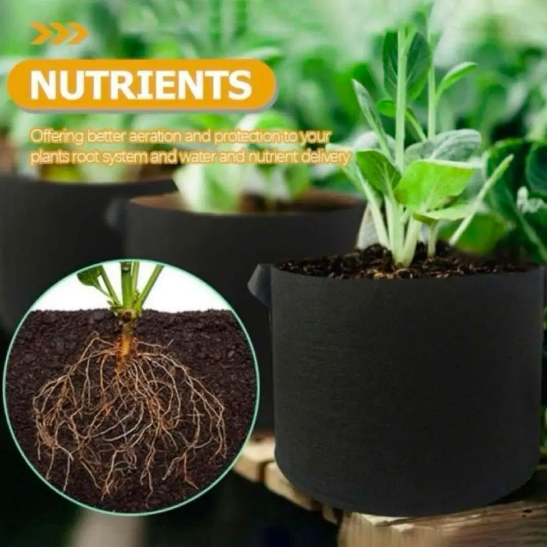 Maceta no tejida Jardinera Jardinería Cultivo de plantas Cultivo de flores Cultivo de plantas Bolsa bolsa 10 galones