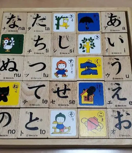 Miffy Bruna Ai-Ueo Building Blocks Hiragana Building Blocks